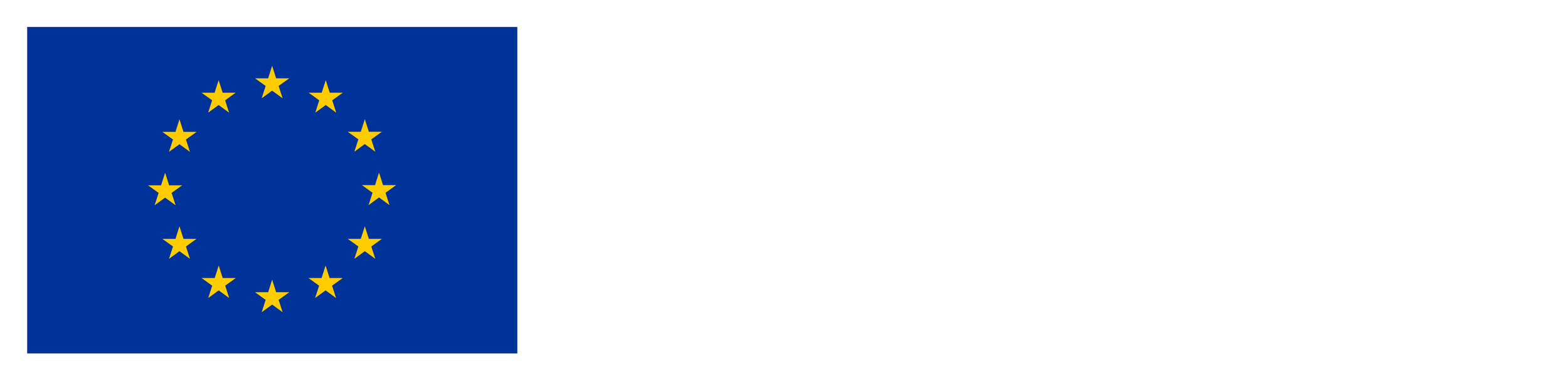 Financiado por la Union Europea